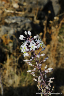 zzena-13-09-2014 09-07-49